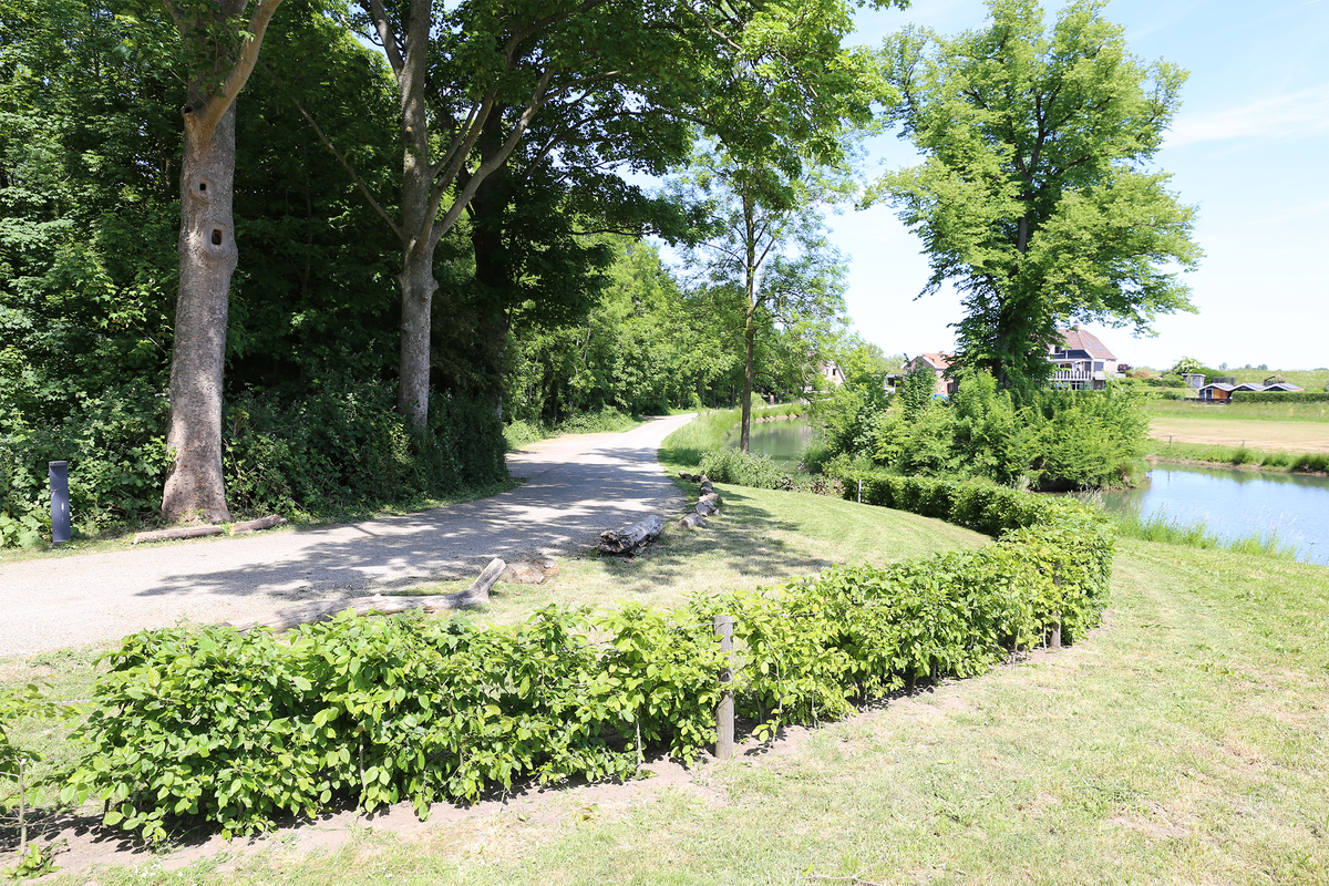 image-part